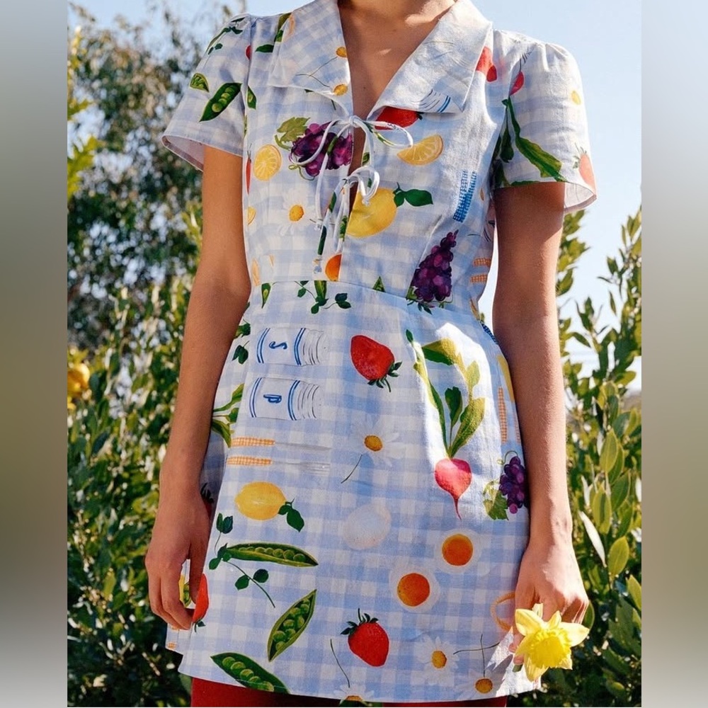 NWOT! Lisa Says Gah! Alexa Shirtdress in Picnic Alfresco Print Dress